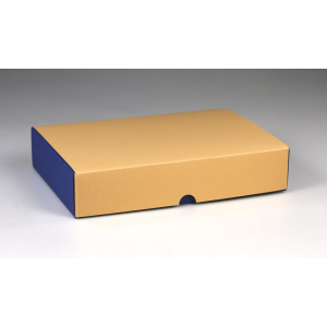 Klappdeckel-Geschenkverpackung zweifarbig 225 x 150 x 50 mm